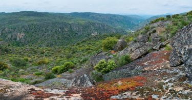 Symington anuncia parceria ambiental com a Rewilding Portugal