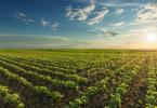 Portugal foi o país que menos cresceu na agricultura biológica