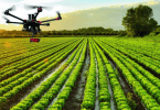 Alltech Crop Science Iberia e Greenfield Technologies com parceria para impulsionar agricultura de precisão