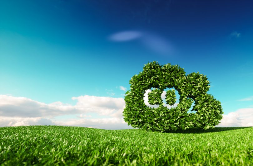 Quinta Vale D. Maria contribui para retenção de 6,5 toneladas de CO₂