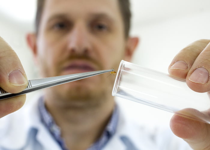 Cientista Dori Edson Nava Embrapa fotógrafo Paulo Lanzetta