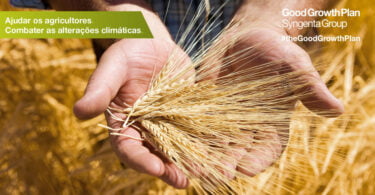 Sygenta apresenta novo programa de sustentabilidade agrícola