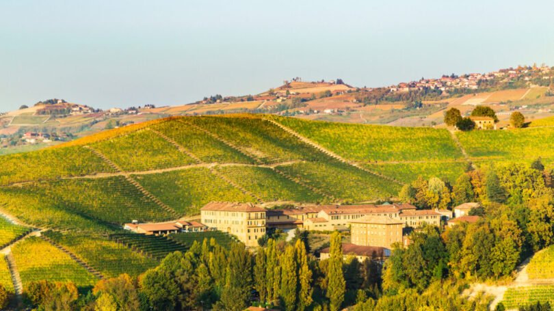 Barolo