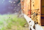 iStock  e