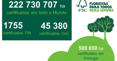 FSC hectares certificados