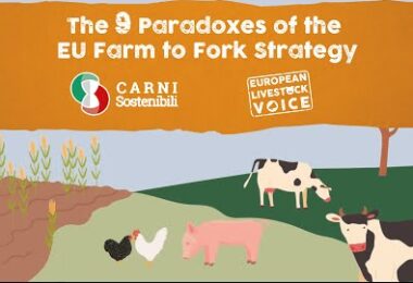 European Livestock Voice apresenta paradoxos do Prado ao Prato