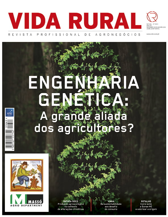 Capa VR 1863 5