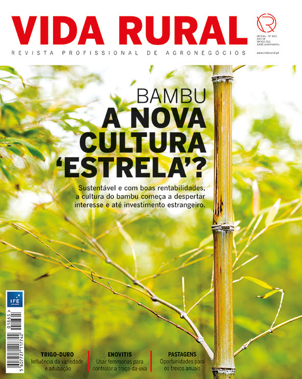 Capa VR 1865 5