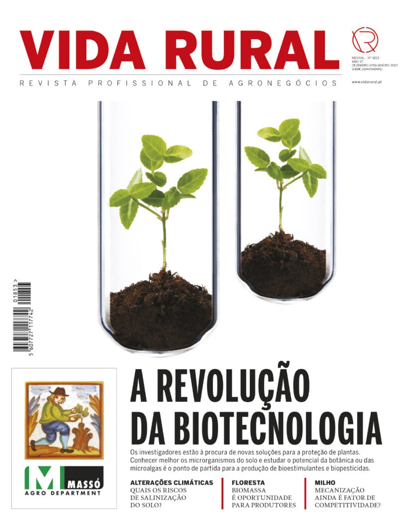 Capa VR 1853 sapo