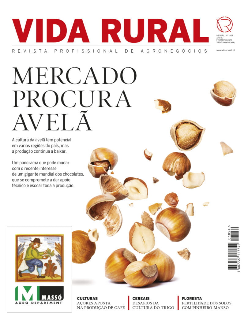 Capa VR 1854 sapo