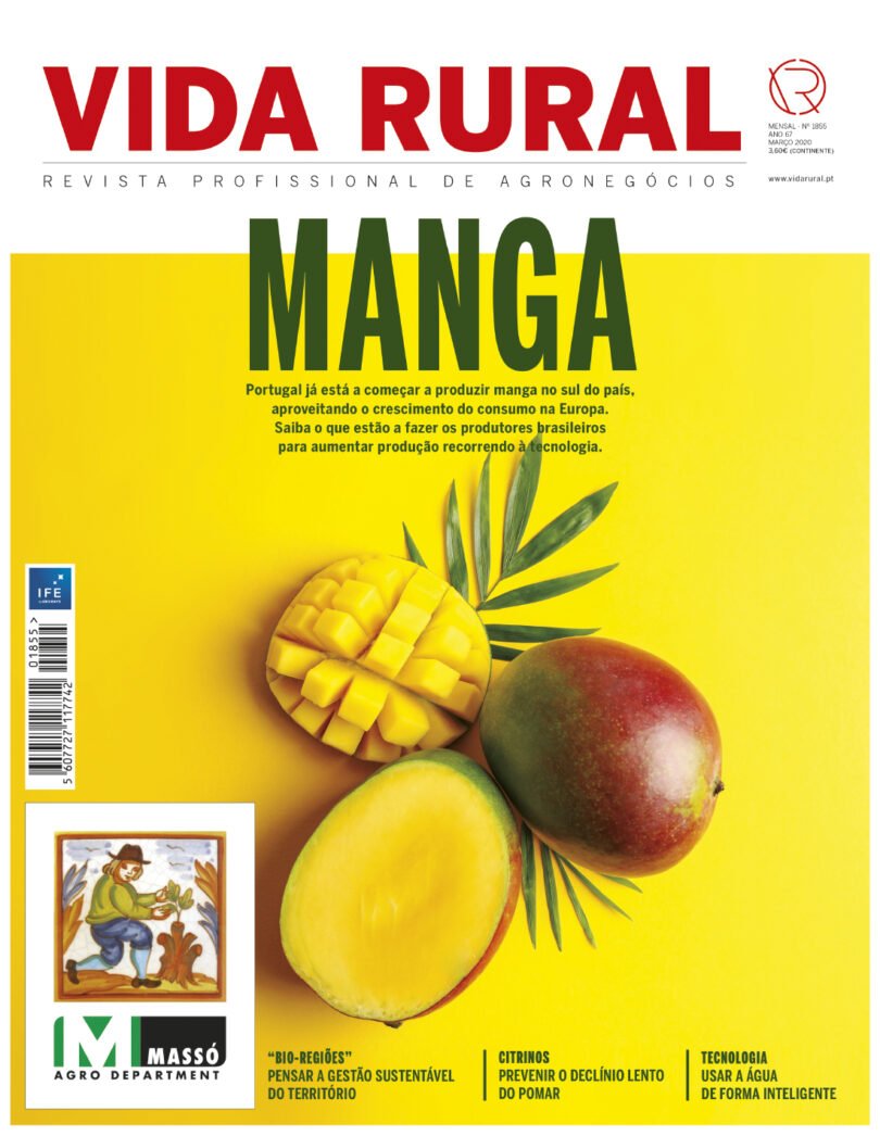 Capa VR 1855 sapo