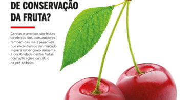 Capa VR 1857 sapo