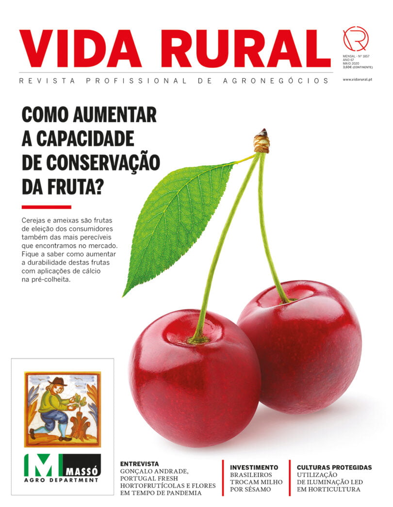 Capa VR 1857 sapo
