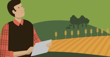 A base dos futuros ecoregimes da nova PAC está ainda em discussão, mas a Comissão tem uma ideia clara. Conheça as principais propostas.