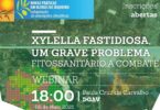 O grupo "Novas Práticas em Olivais de Sequeiro" vai realizar no próximo dia 6 de maio, às 18h00, o webinar sobre Xylella fastidiosa.