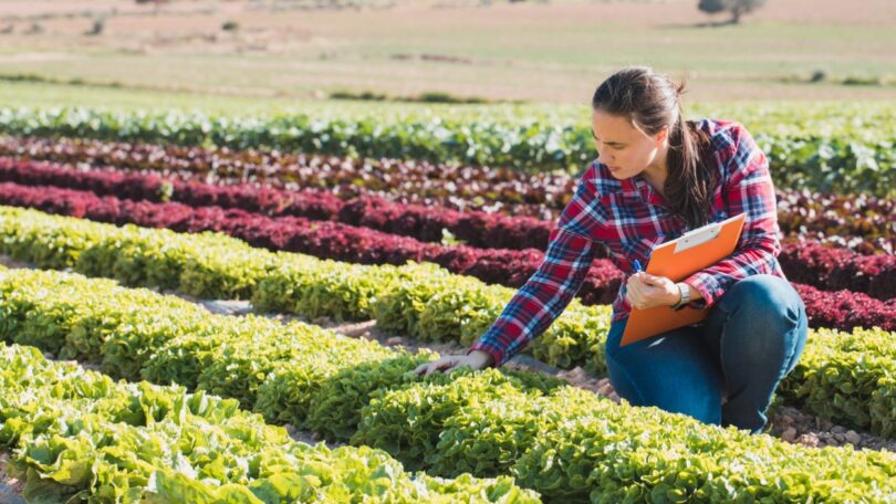 O projeto MAIs - Mulheres Agricultoras de Territórios do Interior, promovido pelo Instituto Politécnico de Viseu, já trabalha no terreno.