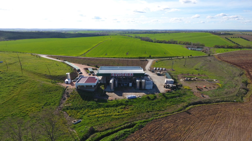 A Ervideira anunciou que a faturação total, no primeiro semestre de 2021, cresceu 11% face a 2020. No entanto, ainda é 26% abaixo de 2019.