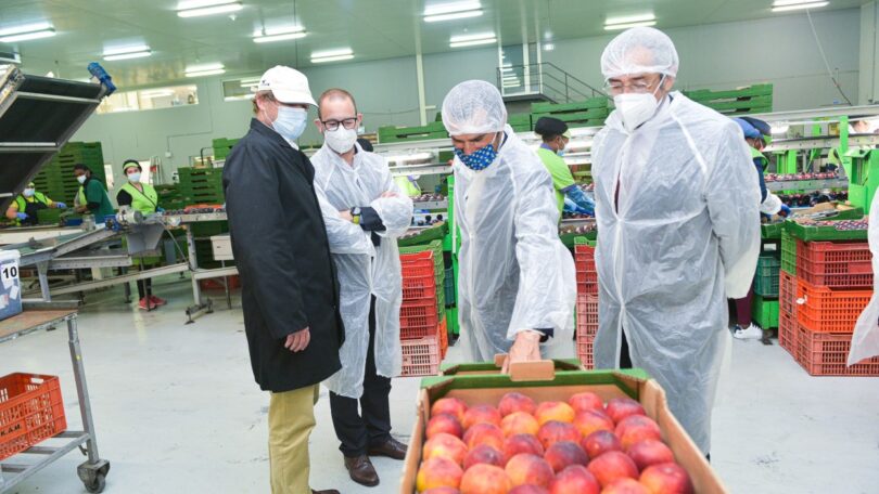 18 mil e 200 toneladas de frutas e legumes nacionais foram exportadas em 2020, através da campanha do Lidl Portugal e da Portugal Fresh.