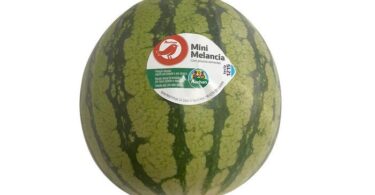 A mini melancia produzida nas regiões do Algarve e Alentejo recebeu o selo Produção Controlada da cadeia de supermercados Auchan.