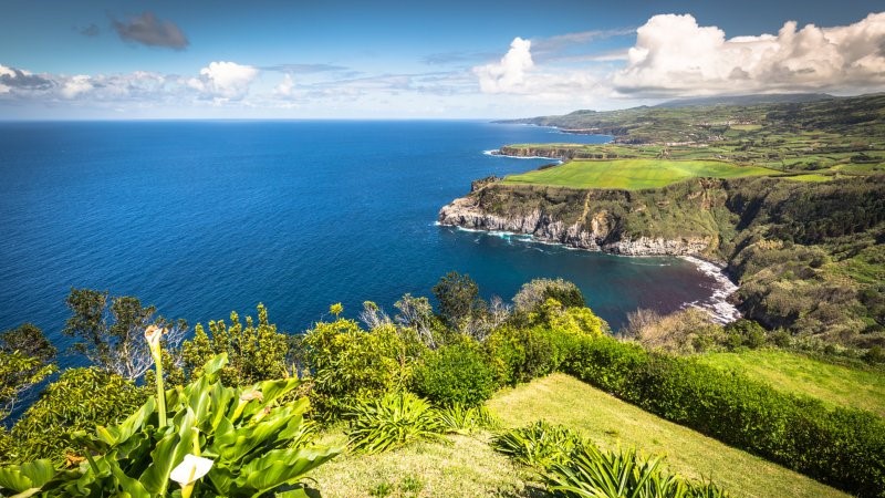 O Governo Regional dos Açores revelou estar à espera que o Instituto da Vinha e do Vinho “esteja a funcionar em pleno” no “início” de 2022.