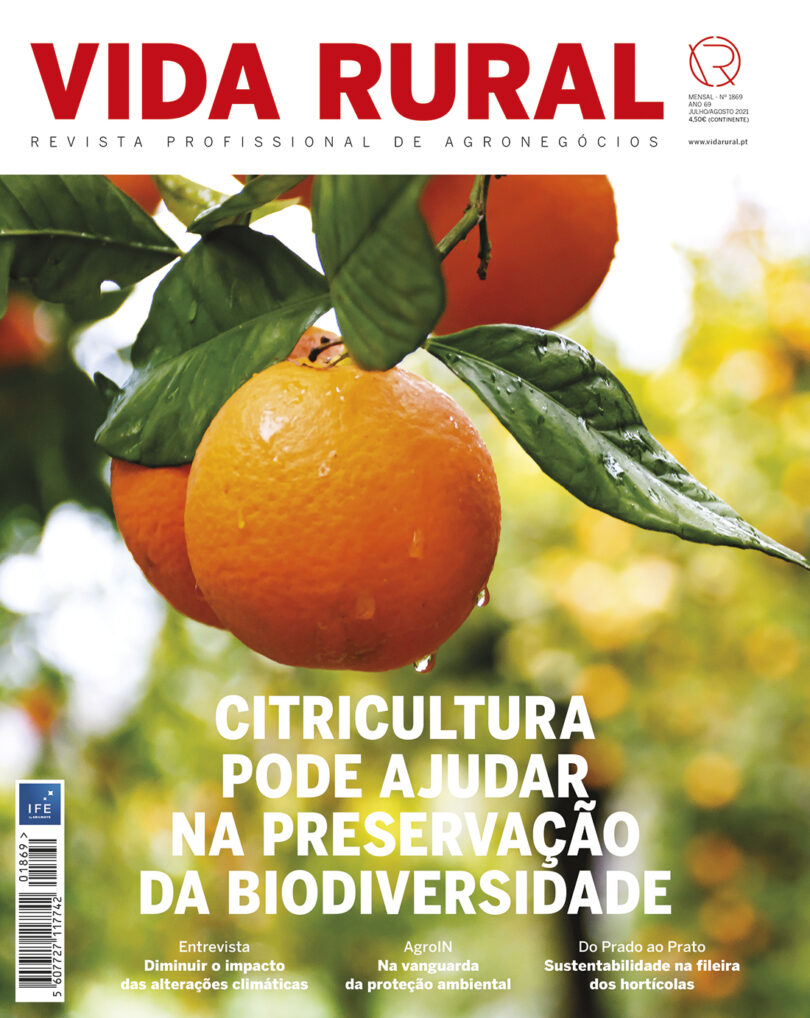 Vida Rural 1869