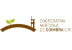 A Cooperativa Agrícola de Coimbra 8Agricultores do Vale do Mondego) apelou à Ministra da Agricultura para que mantenha a promessa dos pagamentos ligados ao milho em 2022.