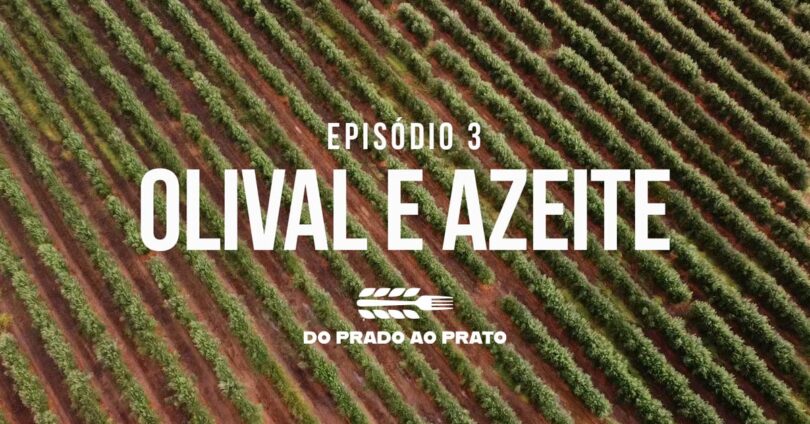 A preservação dos recursos e da biodiversidade na produção de azeite é uma das práticas em destaque no terceiro episódio do ‘Prado ao Prato’.