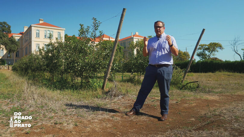 Agricultura de precisão