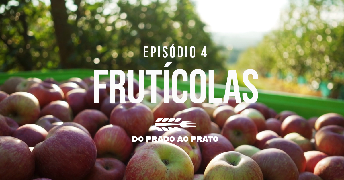 O quarto episódio do ‘Prado ao Prato’ coloca em destaque as frutícolas, com foco na agricultura regenerativa de alta produtividade.