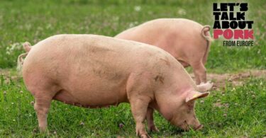 Lets Talk About Pork Certificacao em bem estar animal