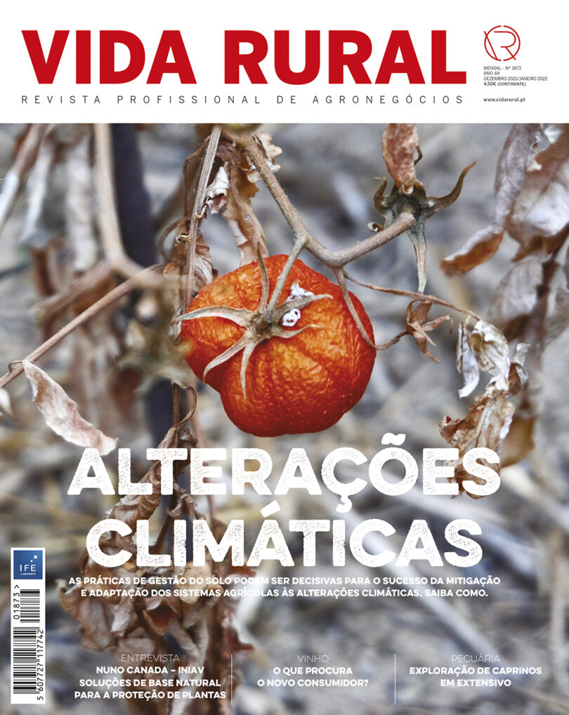 Vida Rural 1873
