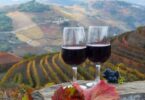 O projeto COPPEREPLACE, constituído por um total de 13 entidades espanholas, francesas e portuguesas do setor do vinho, comemora um ano.