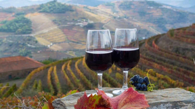 O projeto COPPEREPLACE, constituído por um total de 13 entidades espanholas, francesas e portuguesas do setor do vinho, comemora um ano.
