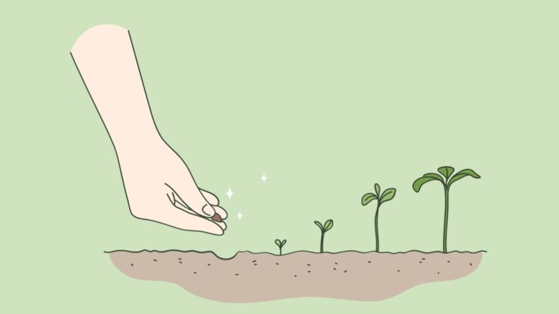 A empresa britânica Zayndu desenvolveu uma tecnologia de esterilização das sementes através de ‘ar ativo’, sem utilização de químicos.