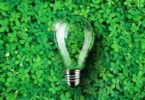 A Associação de Agricultores do Sul (ACOS), face ao aumento dos fatores de produção, considera ser preciso “uma verdadeira eletricidade verde”.