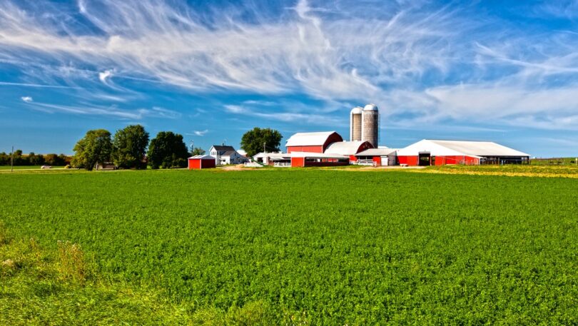 O protocolo que assegura a produção sustentável e responsável da soja produzida nos EUA foi aprovado pela FEFAC.