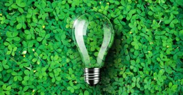 A Confederação Nacional de Agricultores (CNA) denunciou que a medida da “Eletricidade Verde” ainda não foi concretizada.