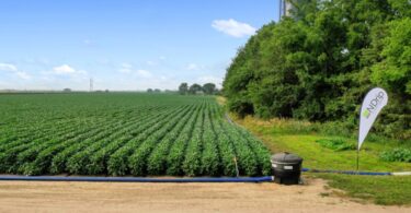 PepsiCo e N-Drip aliam-se para poupar água e melhorar as colheitas agrícolas mundiais