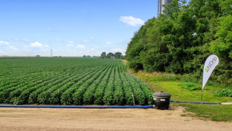 PepsiCo e N-Drip aliam-se para poupar água e melhorar as colheitas agrícolas mundiais