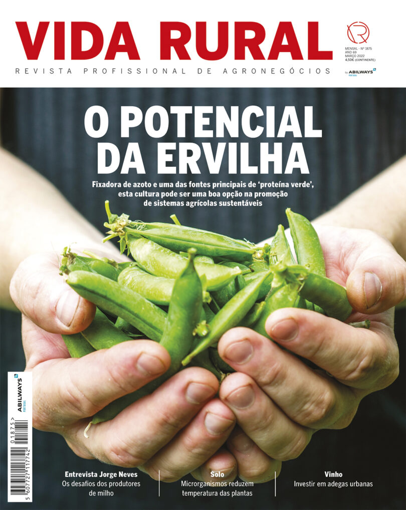 Capa VR 1875 sapo