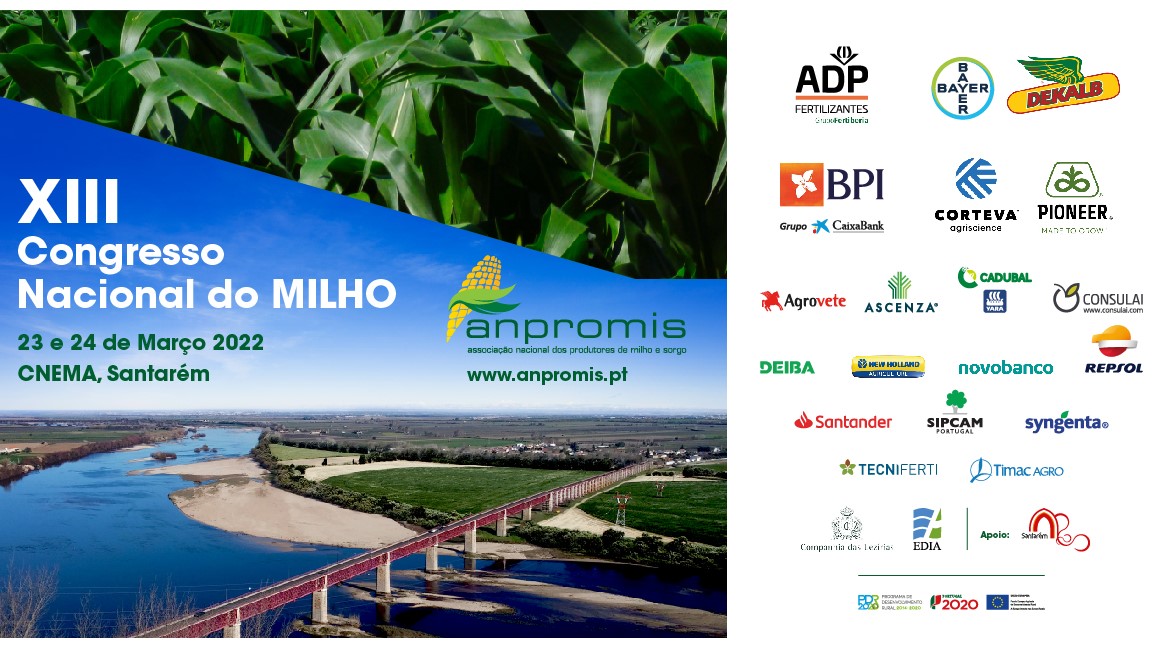 Produtores de milho reúnem-se para debater futuro do mercado das matérias-primas
