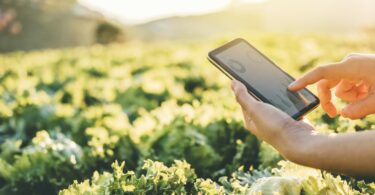 Agricultura de Precisão e Digitalização em debate na Ovibeja 2022