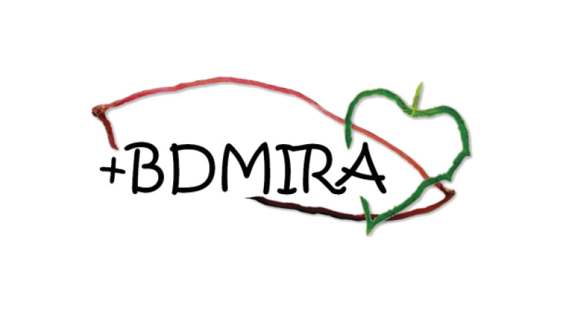+BDMIRA promove 1º evento final em Santarém