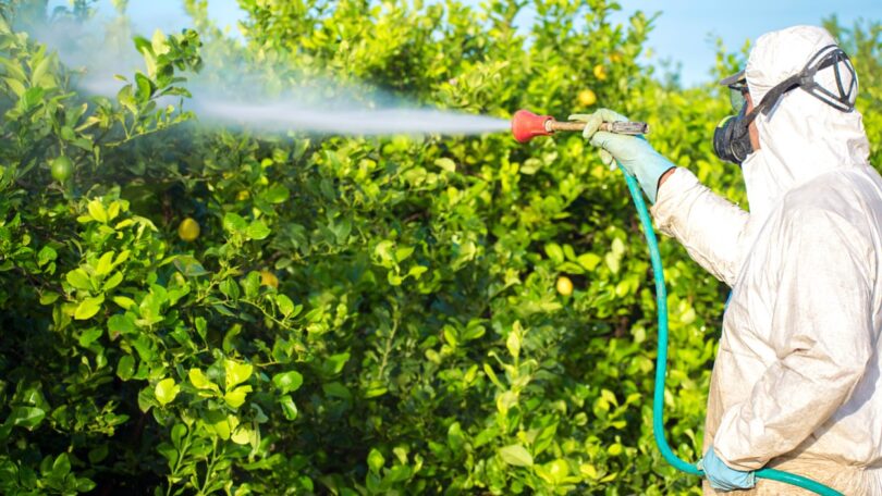 Pesticidas: Portugal é o 2º país da UE com maior quebra de vendas