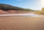 Governo revela novas medidas para mitigar seca “mais grave deste século”