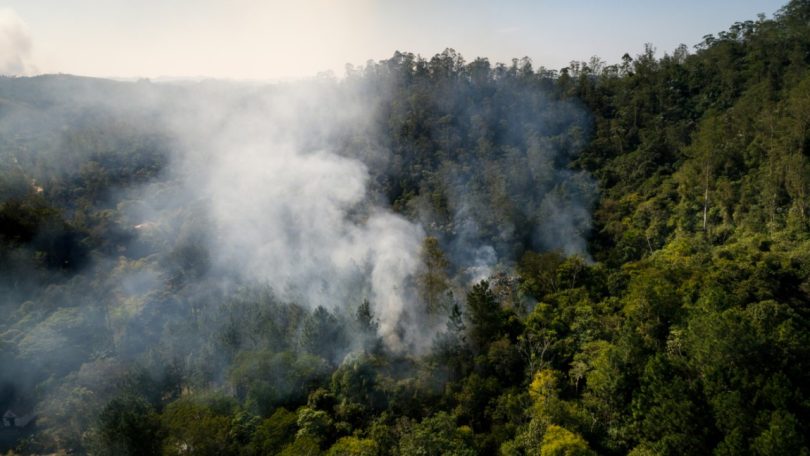 Governo alerta para importância de registo de terrenos no combate aos incêndios