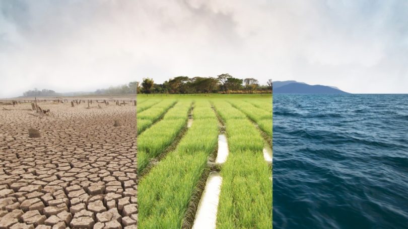Alterações climáticas: “Temos de produzir mais com menos”