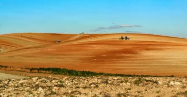 Energia: Portugal é o 2º país da UE que mais cresce no consumo para agricultura e floresta