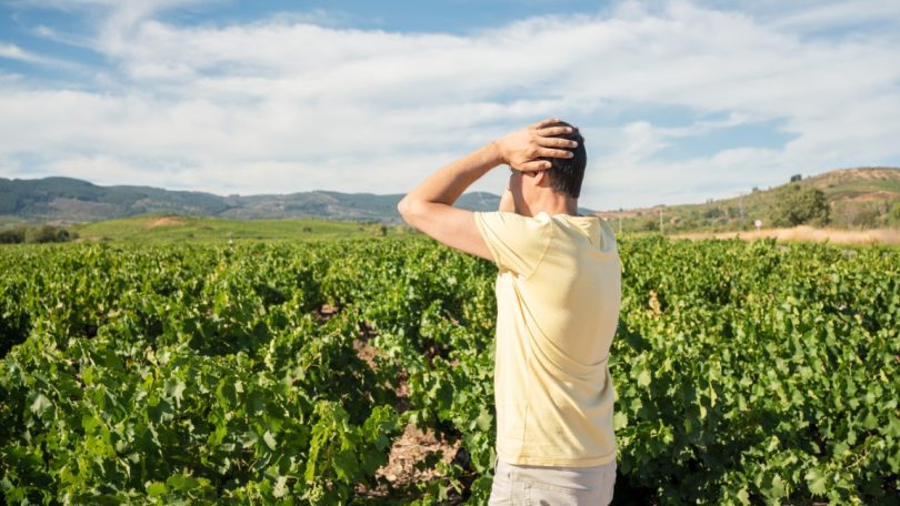 Eurodeputados apelam a iniciativas de promoção de saúde mental na agricultura