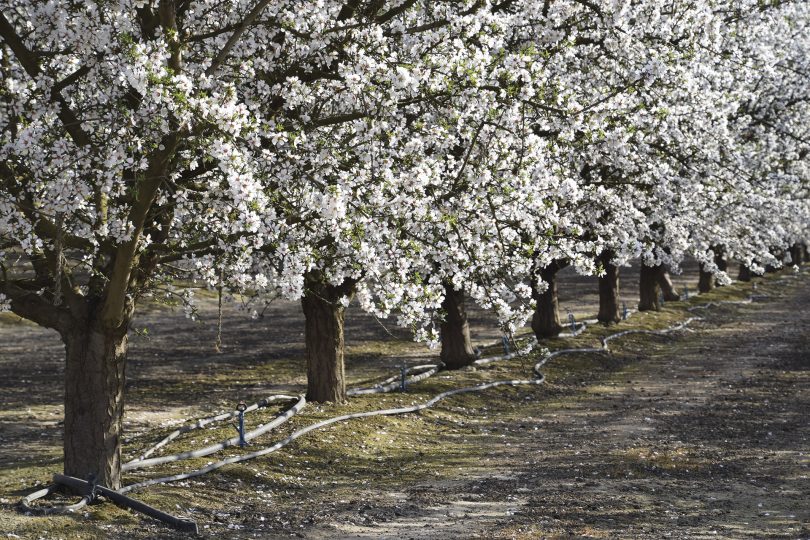 Balanço da água e sais no solo no perímetro do Roxo em função de diferentes cenários climáticos